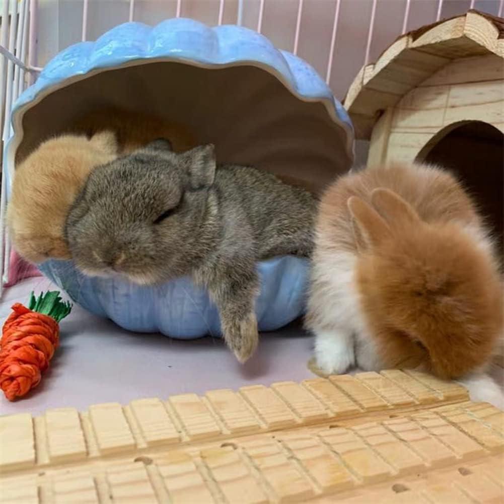 Refugio Cerámica para Pequeños Animales WCDJOMOP XL Azul