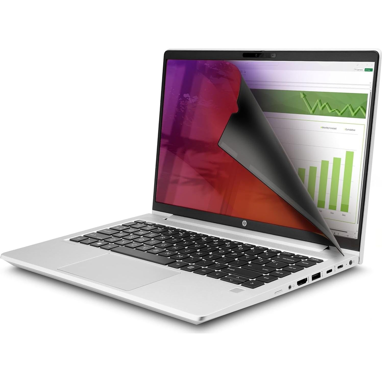 Pantalla de Privacidad StarTech 14" Dorada Reversible 16:9