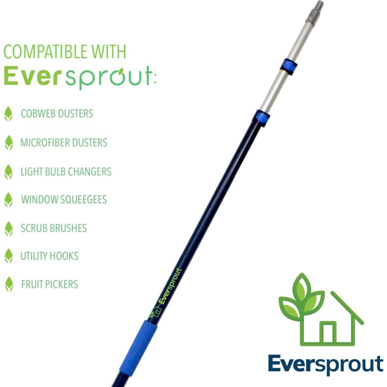 Cepillo de Lechada Pro Eversprout con Mango Extensible 1.2 m