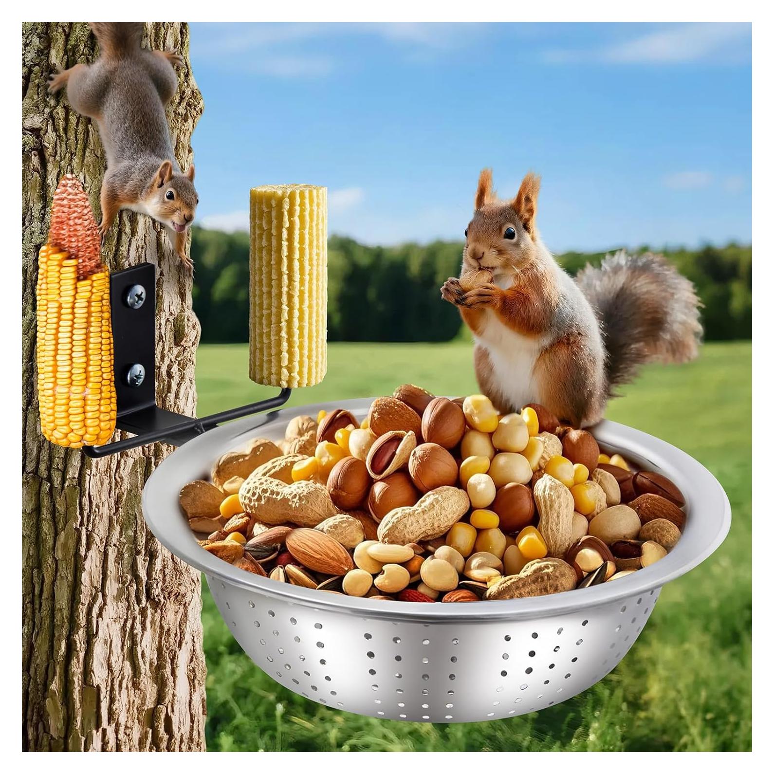 Comedero para Ardillas Hanyinails Acero Inoxidable 22.86 cm