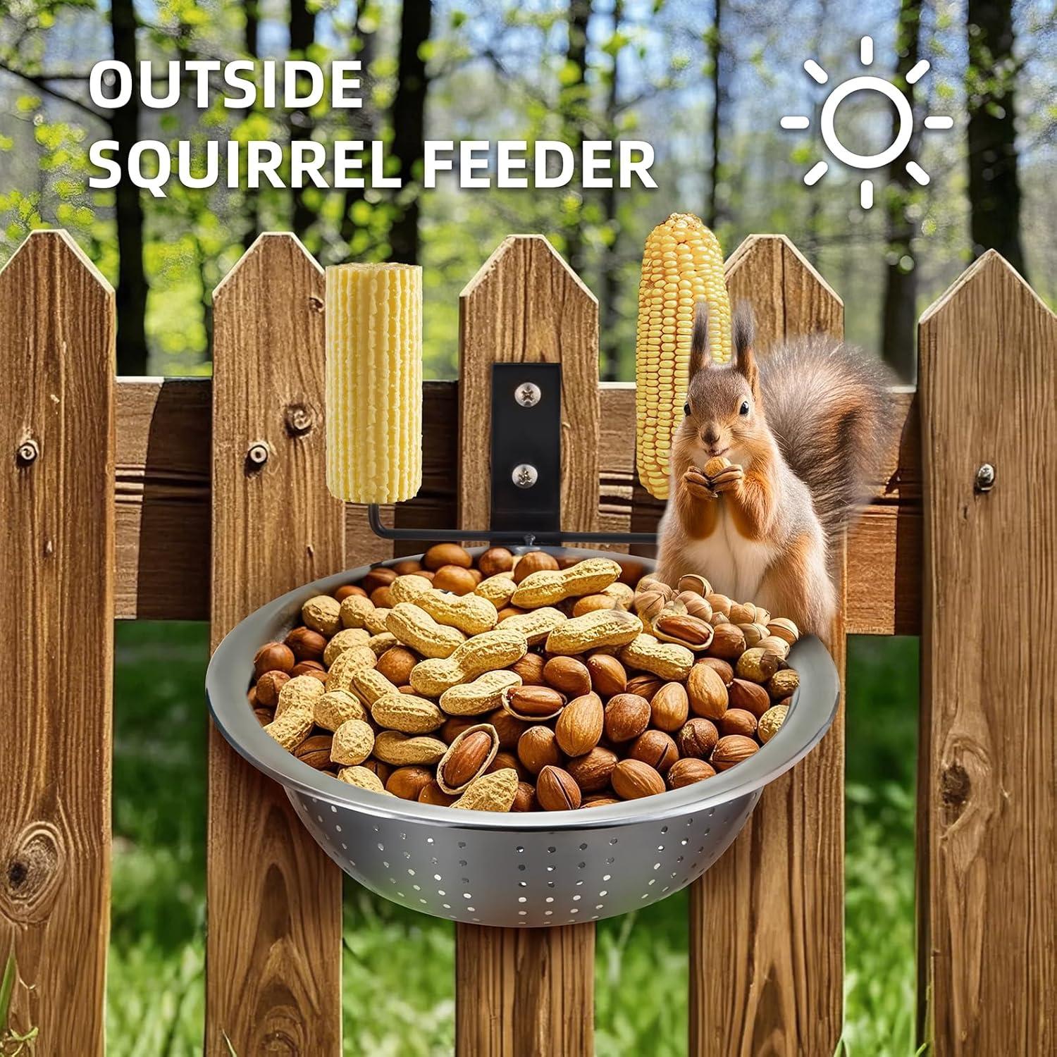 Comedero para Ardillas Hanyinails Acero Inoxidable 22.86 cm