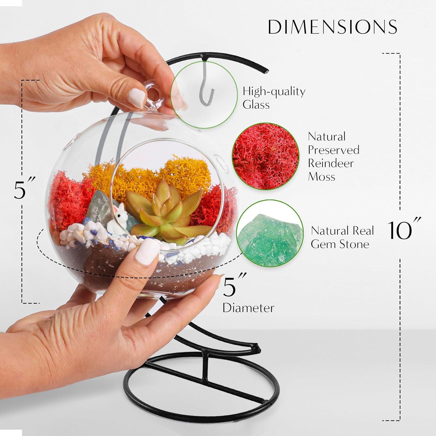 Kit de Terrario DIY Colgante Creaciones de Nathalie 12.7 cm