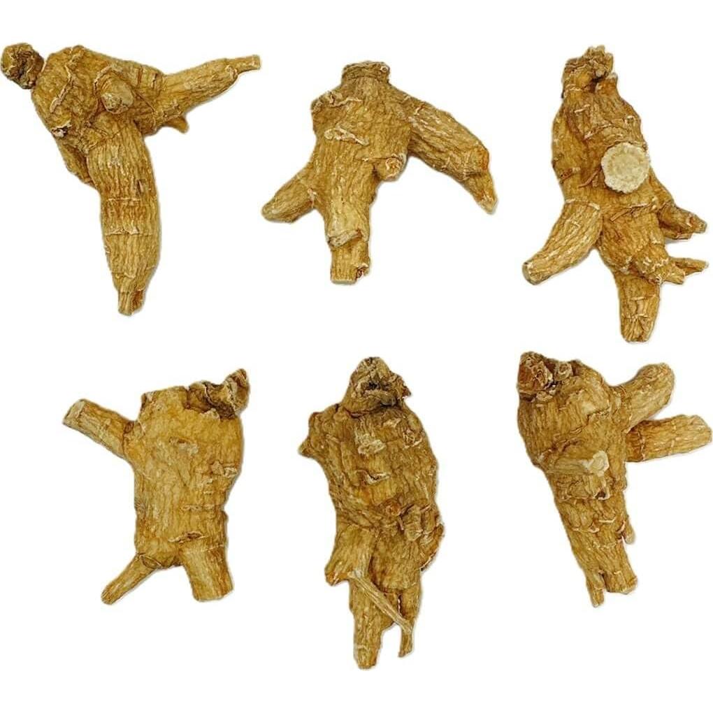 Ginseng Americano Grado A Jumbo Redondo 113.4 g New Green Nutrition