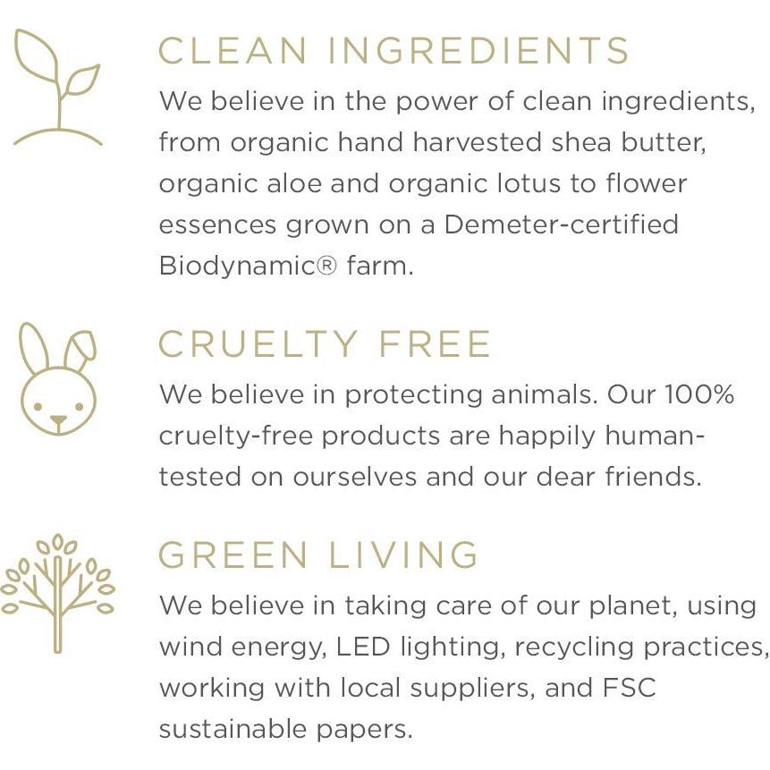 Jabón Zents de Manos y Cuerpo Anjou 295 ml - Hidratante Antienvejecimiento