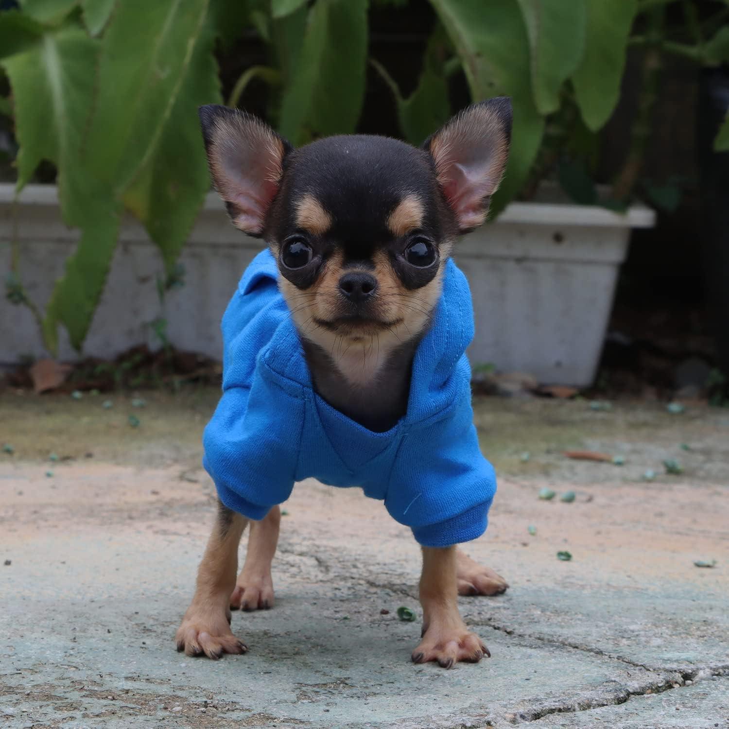 Sudadera LOPHIPETS para Perros Pequeños Azul XXS - Algodón