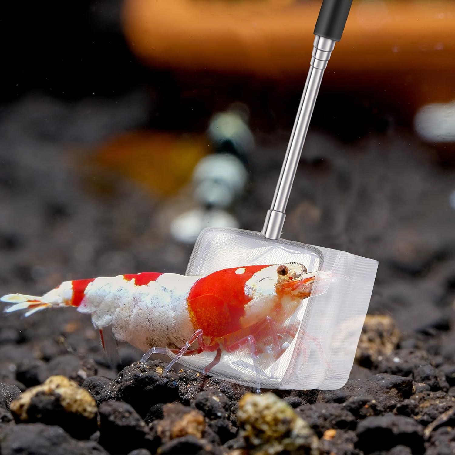 Red de Acuario para Camarones Shappy 4 Piezas Mango Extensible