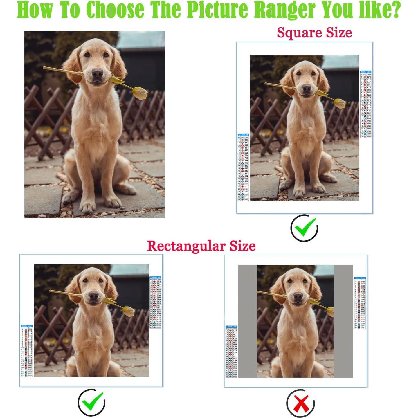 Pintura de Arte de Diamante Personalizada ADANAY 30x50cm