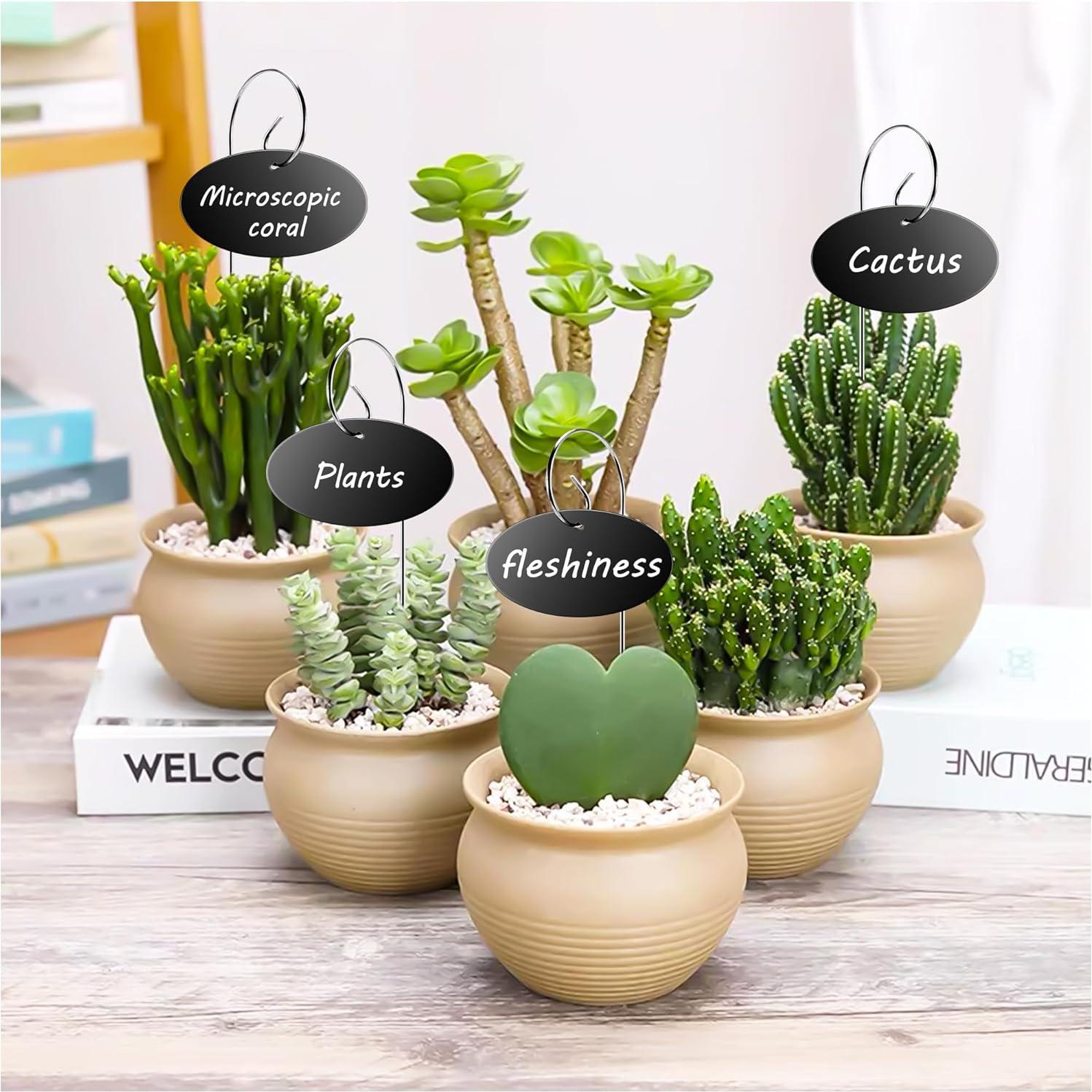 Etiquetas para Plantas Vcekract 25 Pcs con Bolígrafo Resistente