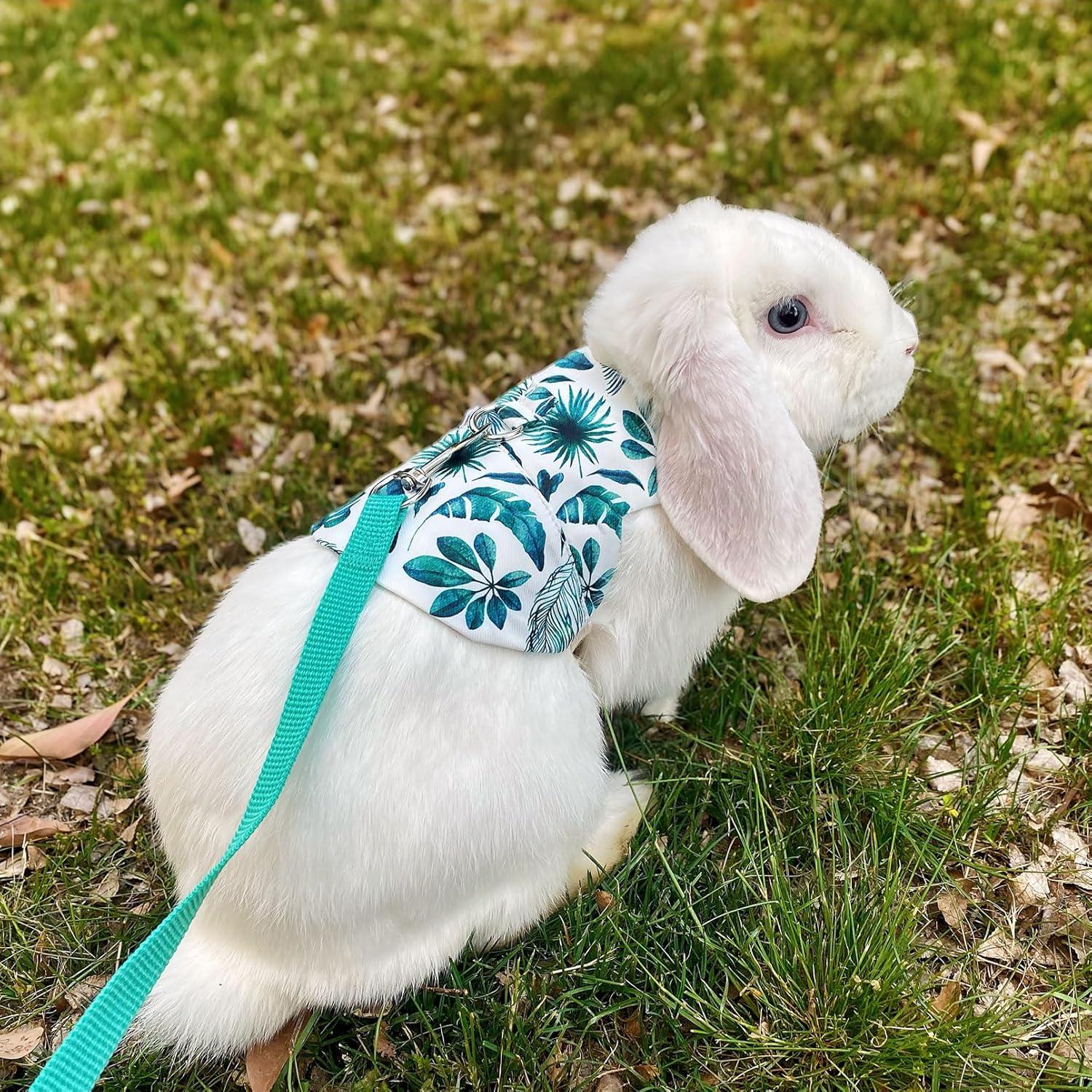 Arnés y Correa Ajustable WEWAYKGJ para Conejos Tamaño M