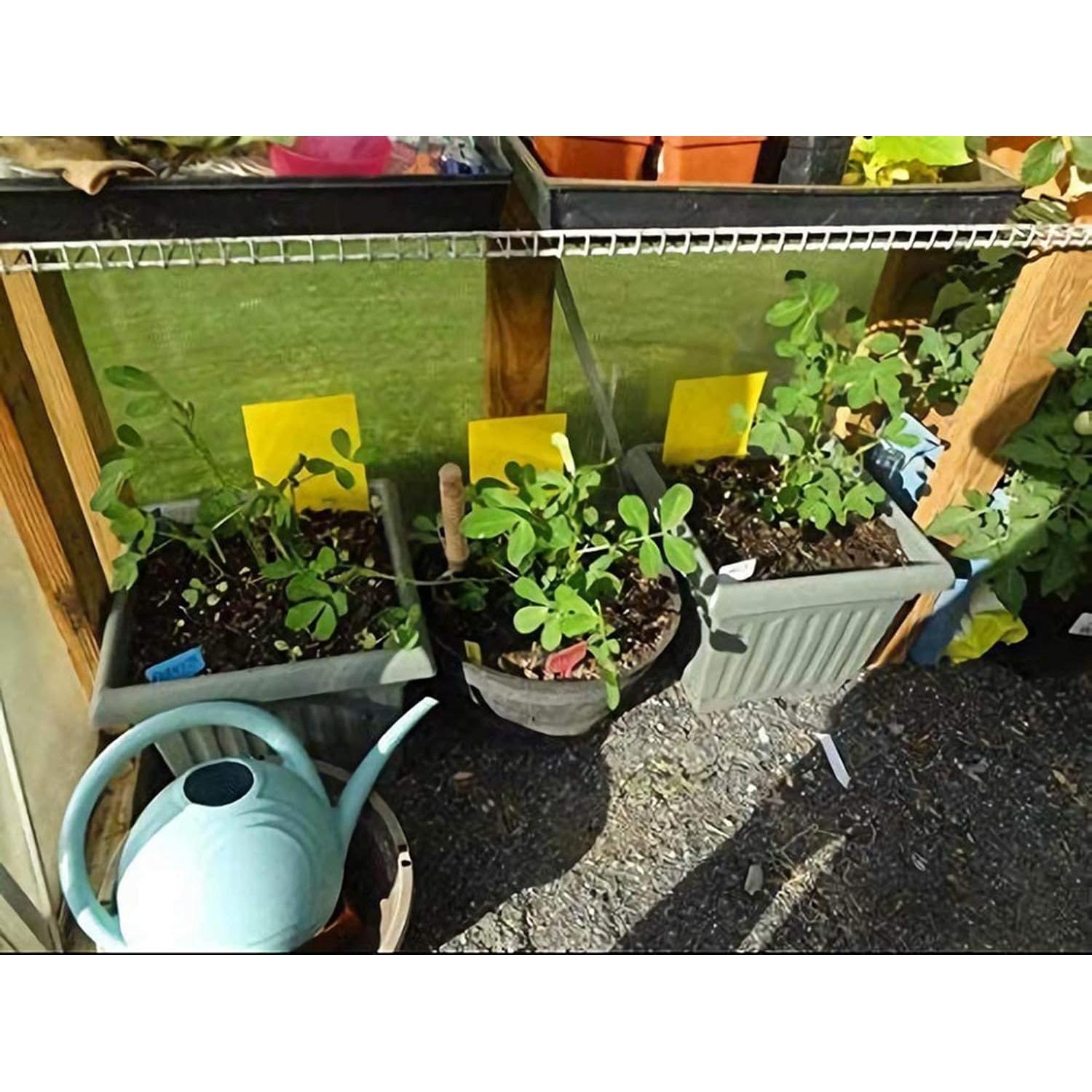 Trampas Adhesivas Amarillas Faicuk para Insectos - 10 Piezas