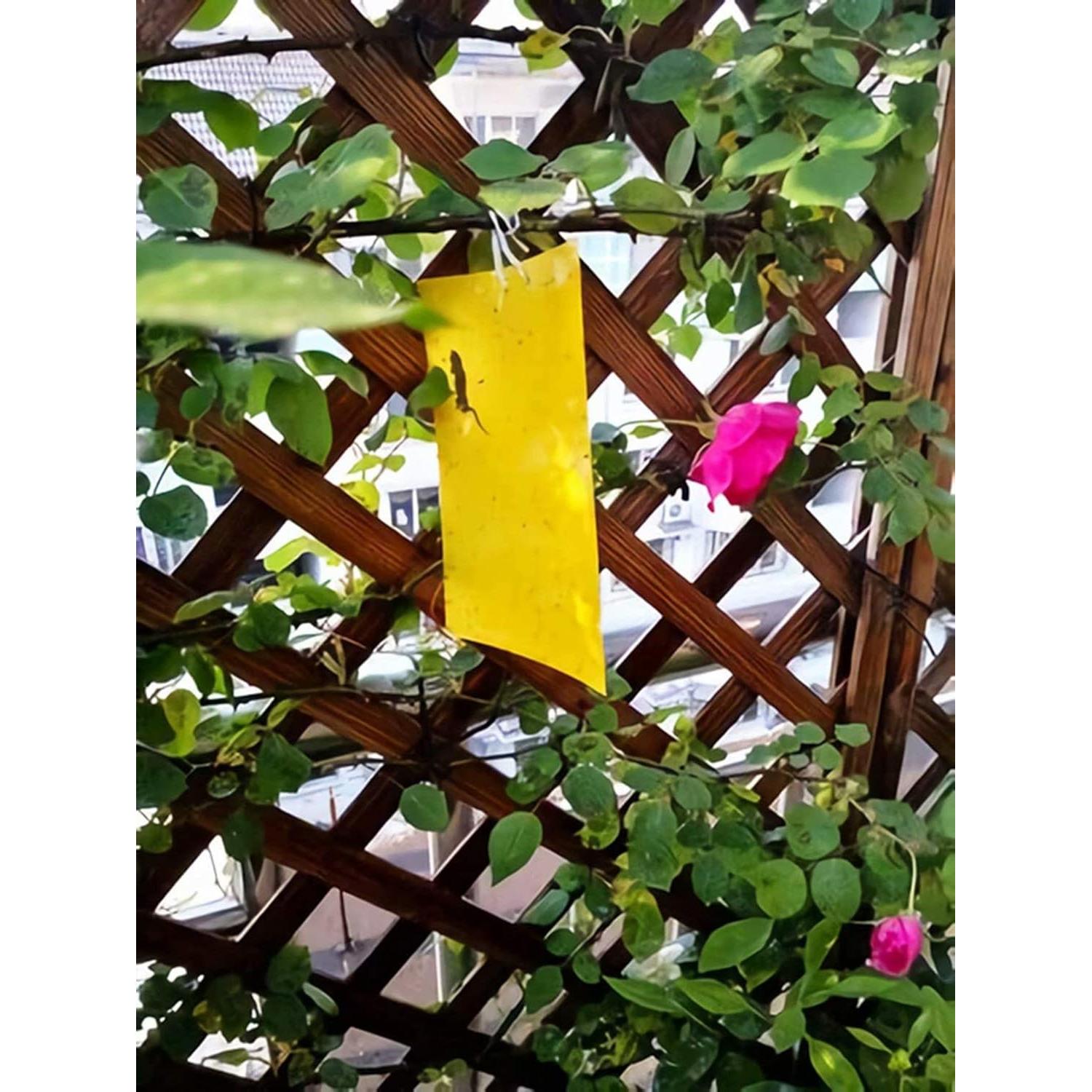 Trampas Adhesivas Amarillas Faicuk para Insectos - 10 Piezas