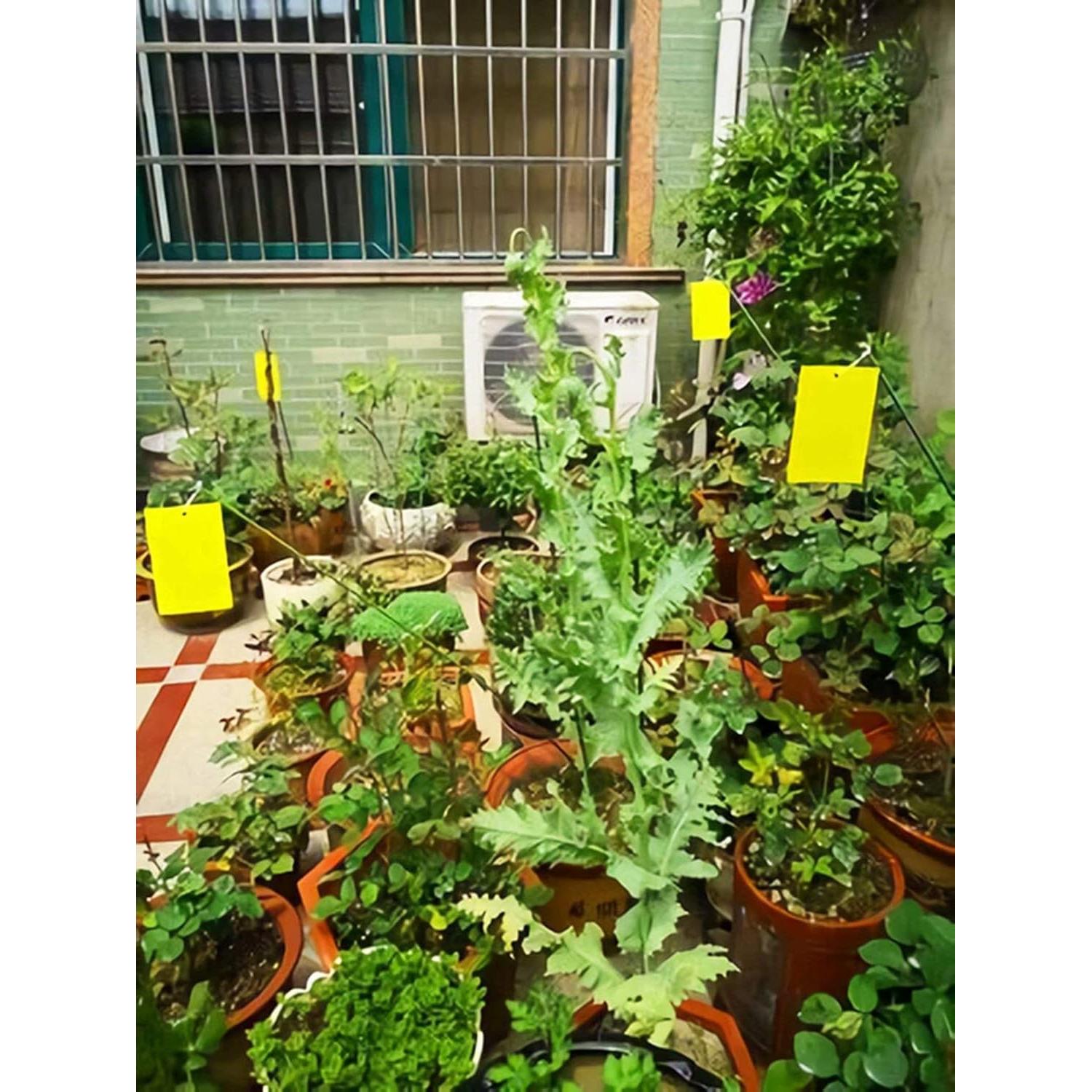 Trampas Adhesivas Amarillas Faicuk para Insectos - 10 Piezas