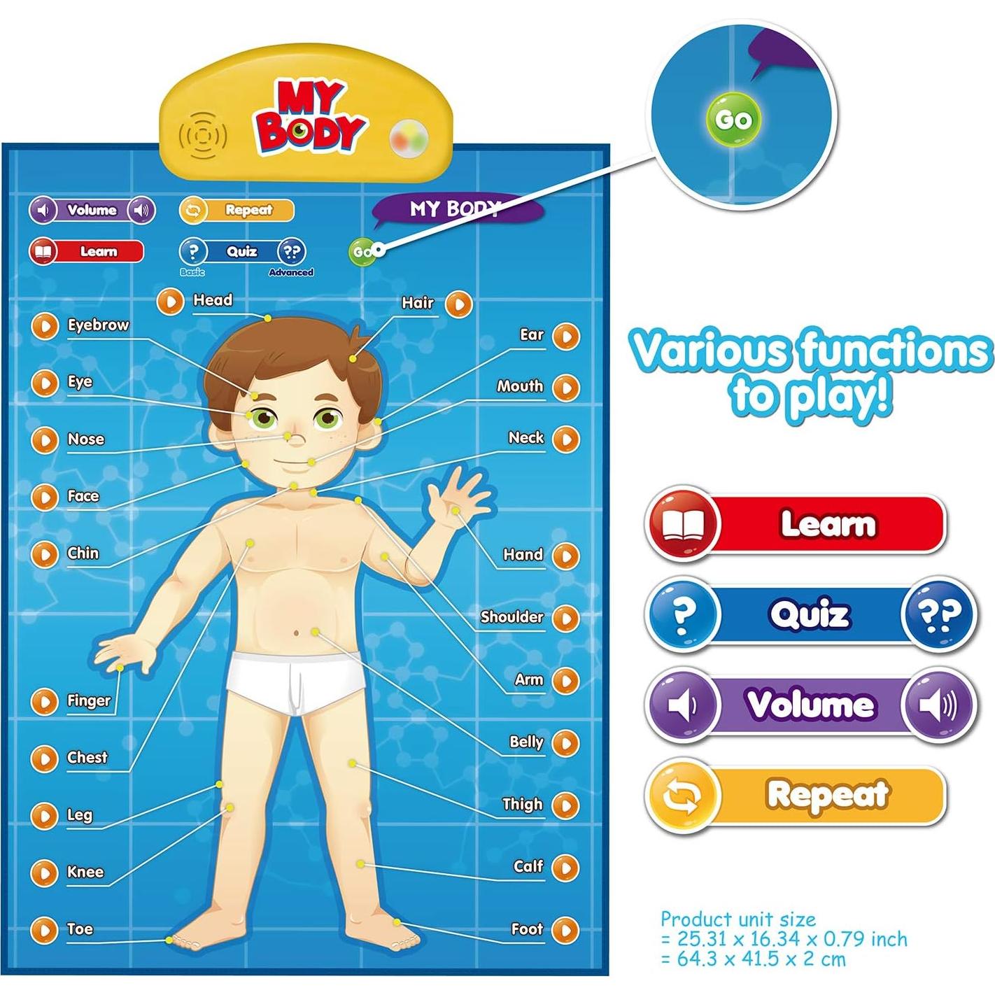 i-Poster Mi Cuerpo - Juego Educativo Interactivo de Anatomía