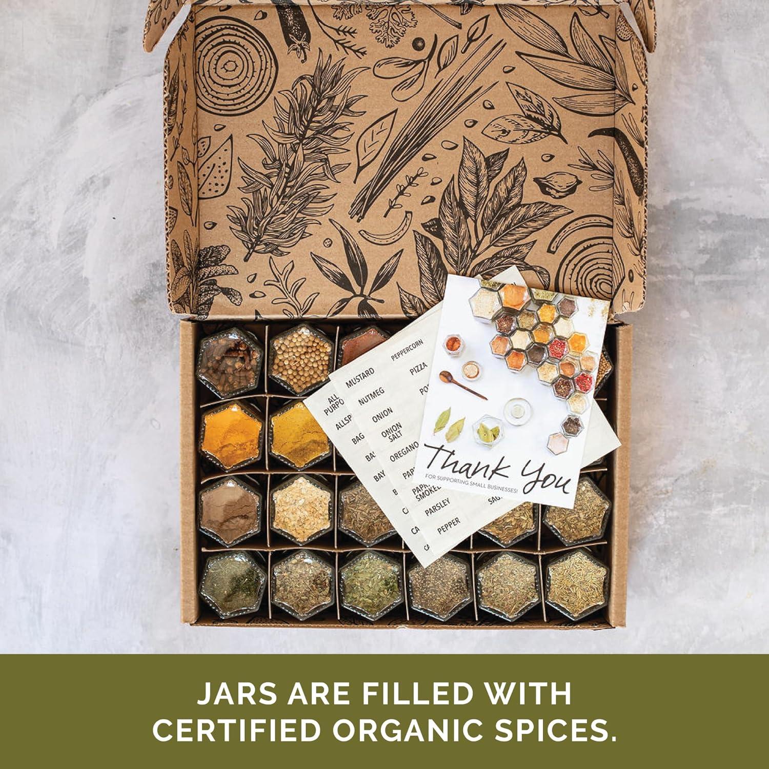 Kit de Especias Magnéticas Gneiss Spice - 24 Tarros Pequeños