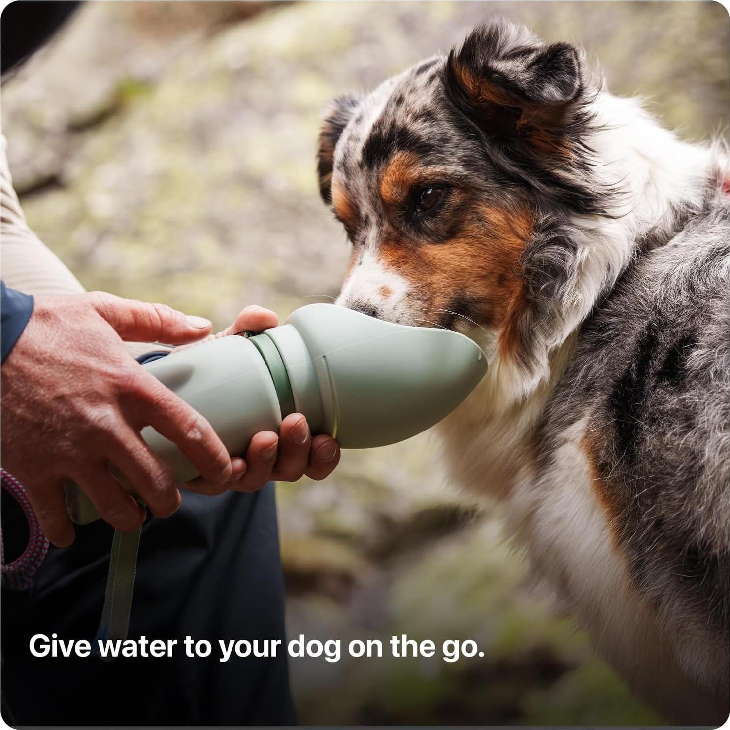 Botella de Agua Plegable SÄKER para Perros 350ml - Oliva