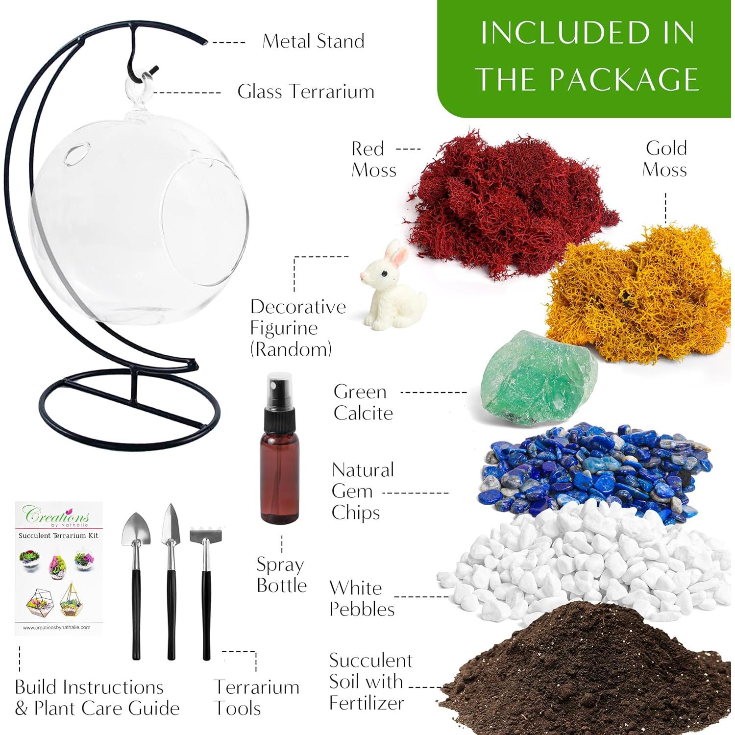 Kit de Terrario Colgante DIY 12.7 cm - Creaciones de Nathalie