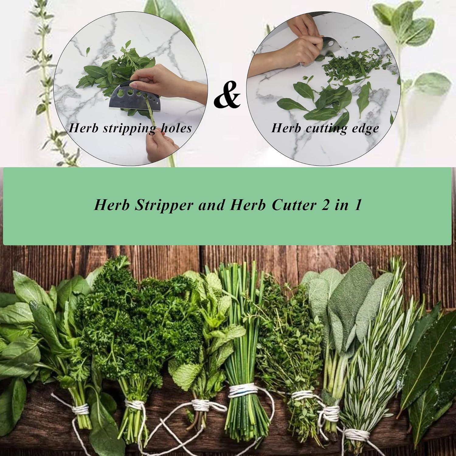 Deshojador y Cortador de Hierbas LXLVOUEG 2 en 1 Acero Inoxidable