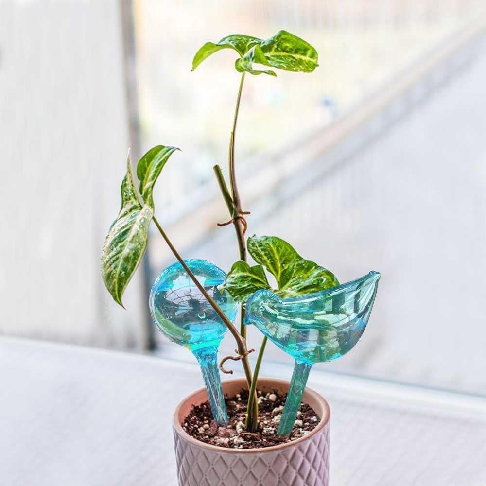 Esferas de Autorriego para Plantas Logresy - 10 Piezas