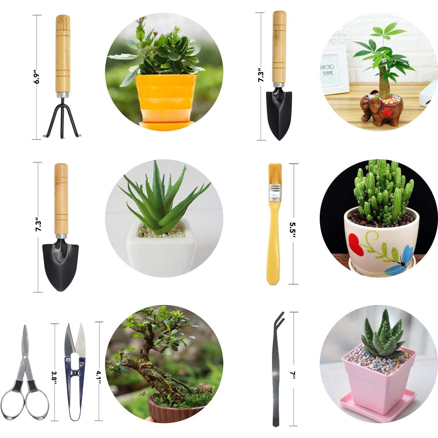 Set de Herramientas para Bonsai FALIDI 8 Piezas Mini Jardinería