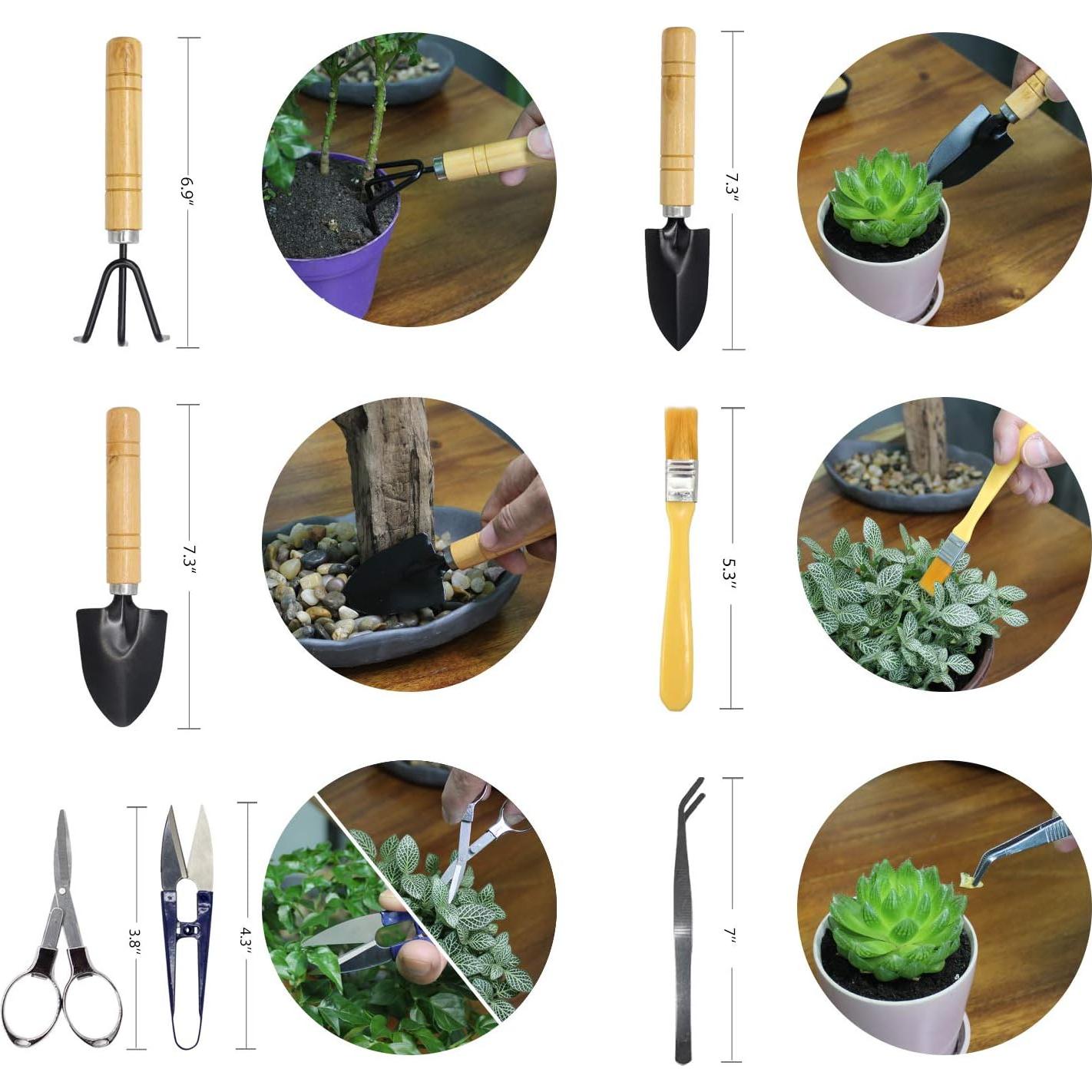 Set de Herramientas para Bonsai FALIDI 8 Piezas Mini Jardinería