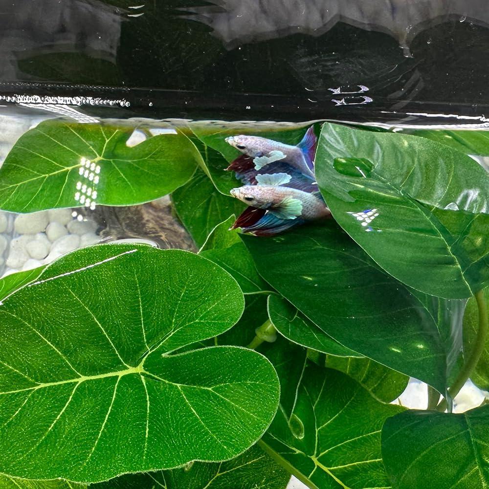 Decoración de Acuario Smoothedo Hoja de Betta 15.24cm Verde