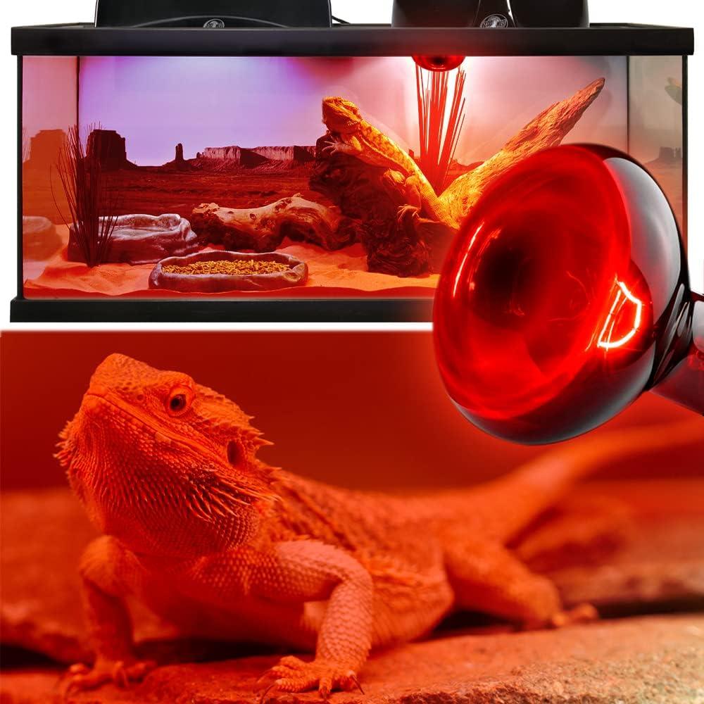 Paquete de 2 bombillas de calor infrarrojo MCLANZOO 50W para reptiles