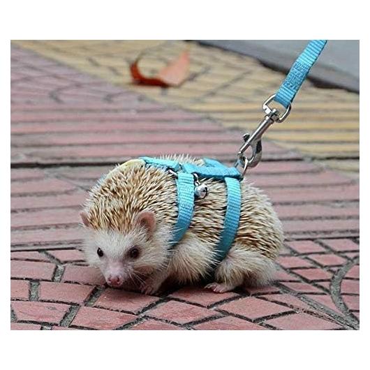 Arnés Ajustable para Erizos Hokmly con Cuerda de Tracción Azul