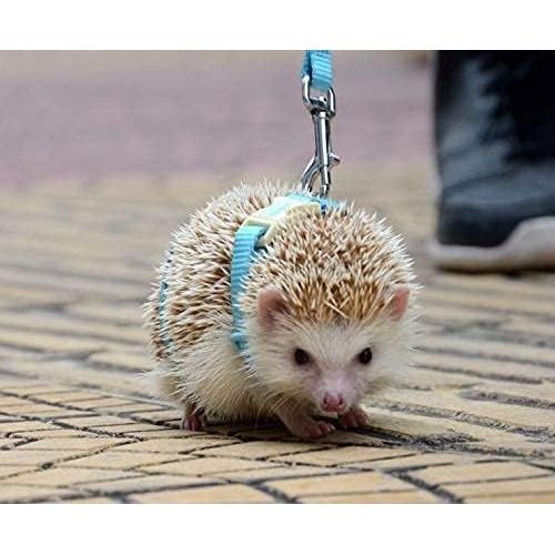 Arnés Ajustable para Erizos Hokmly con Cuerda de Tracción Azul