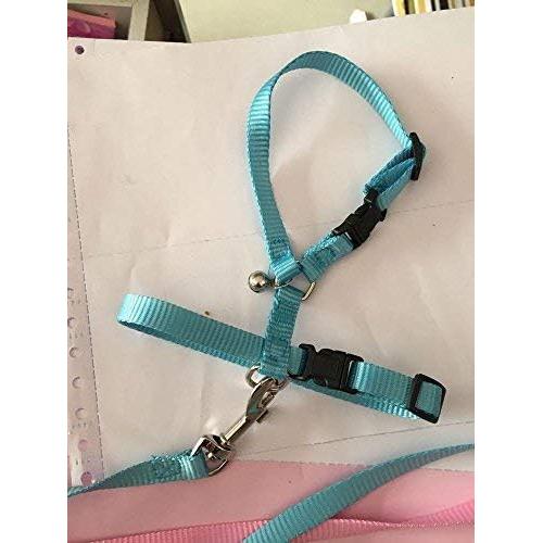 Arnés Ajustable para Erizos Hokmly con Cuerda de Tracción Azul