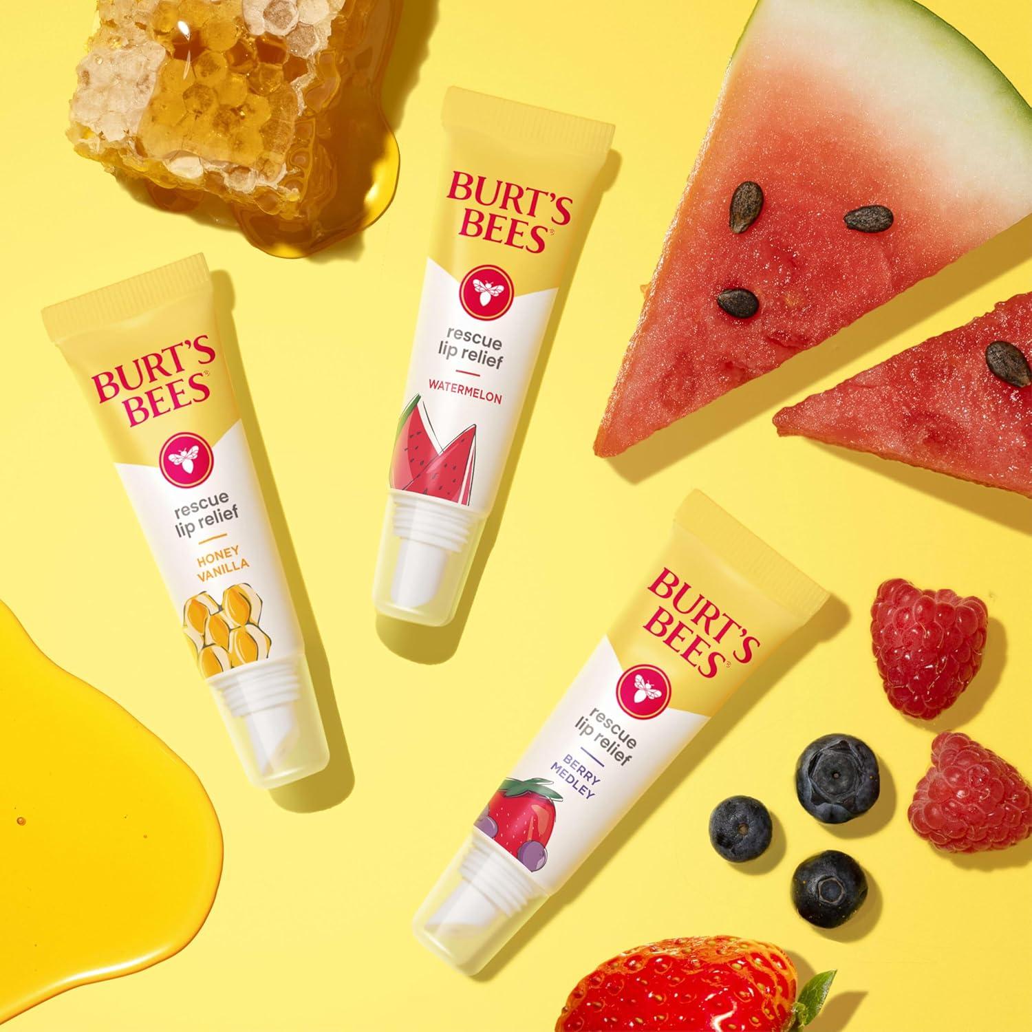 Bálsamo Labial Burt's Bees Rescate Mezcla de Bayas 10g