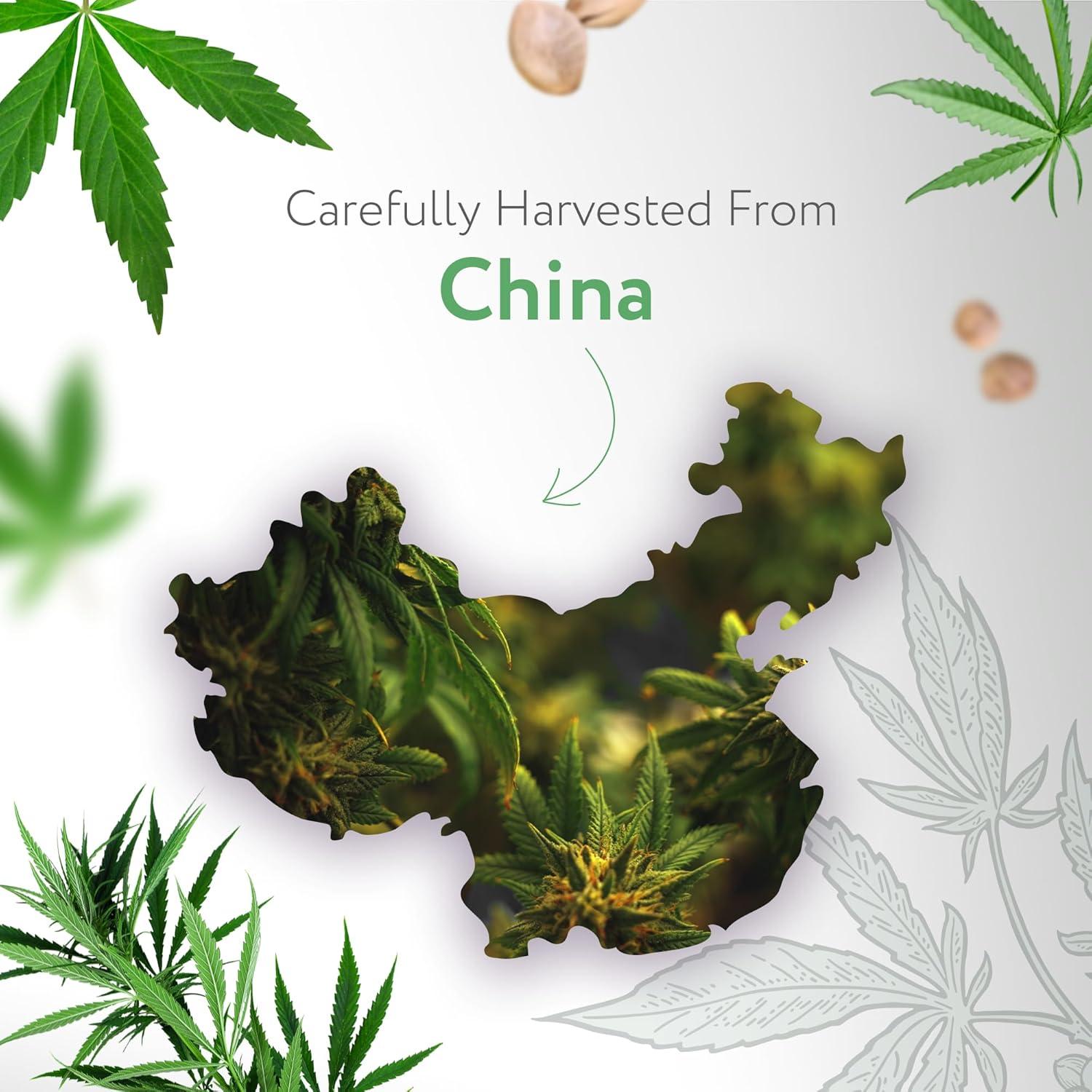 Aceite de Semilla de Cañamo Orgánico HBNO 120 ml Prensado en Frío