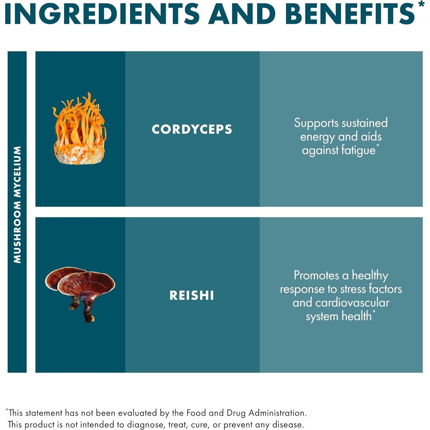 Extracto de CordyChi Host Defense 30ml - Suplemento Energético y Inmunológico