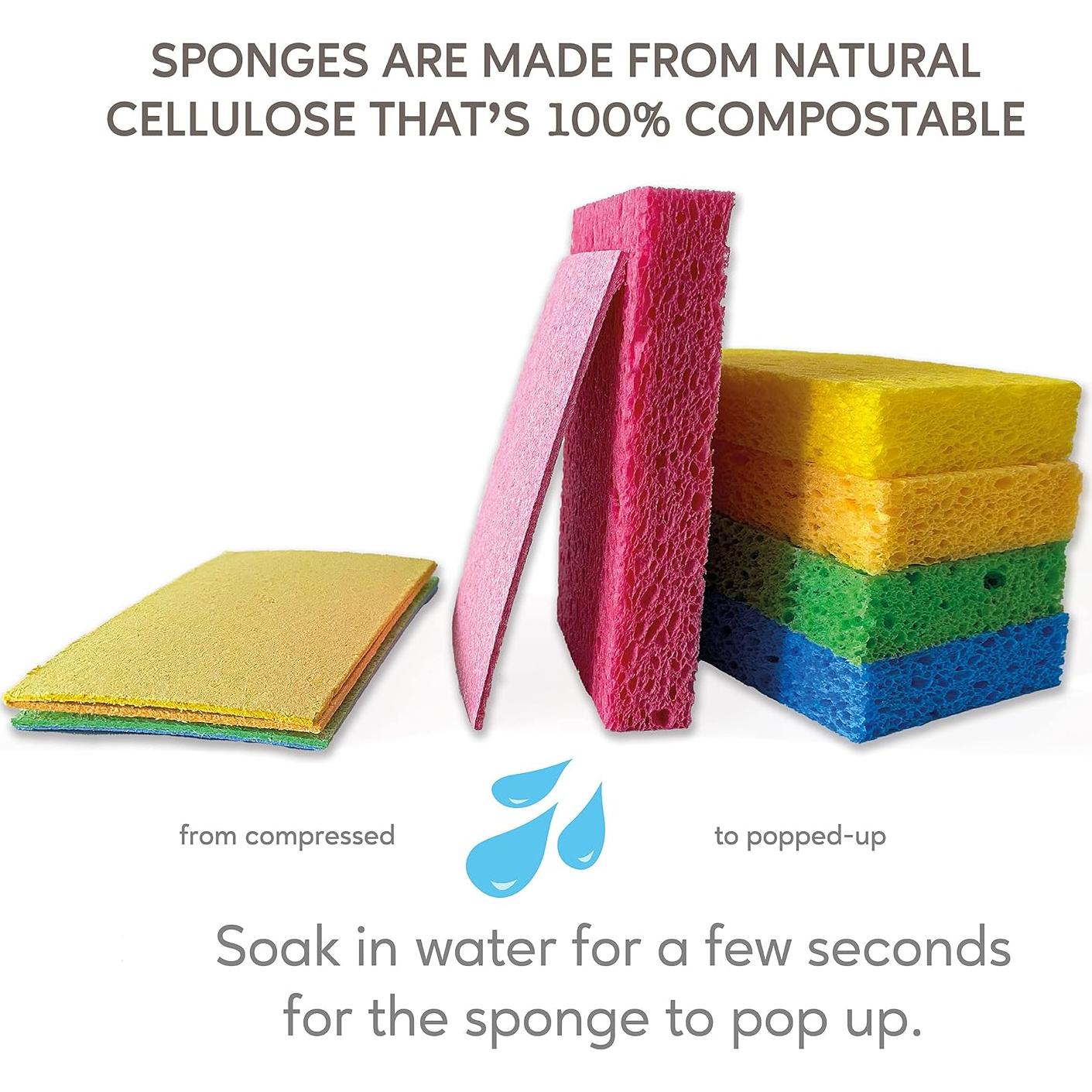 Esponjas Pop-Up EPLANITA 10 Paquete Celulosa Natural Limpieza