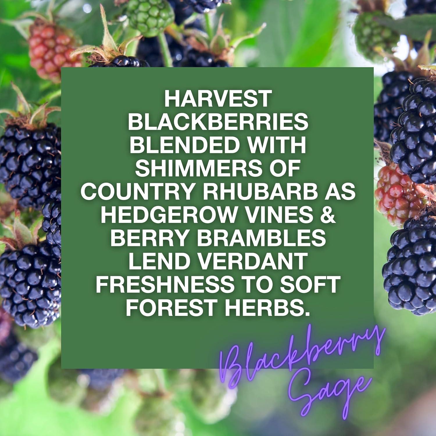 Ambientador Spray Citrus Magic Salvia de Mora 2 Pack 226g