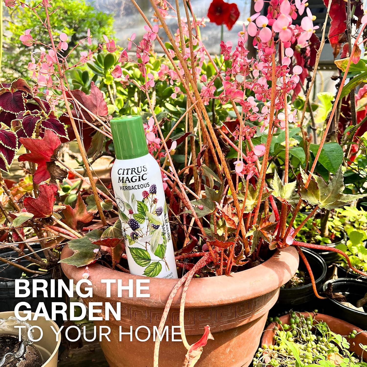 Ambientador Spray Citrus Magic Salvia de Mora 2 Pack 226g