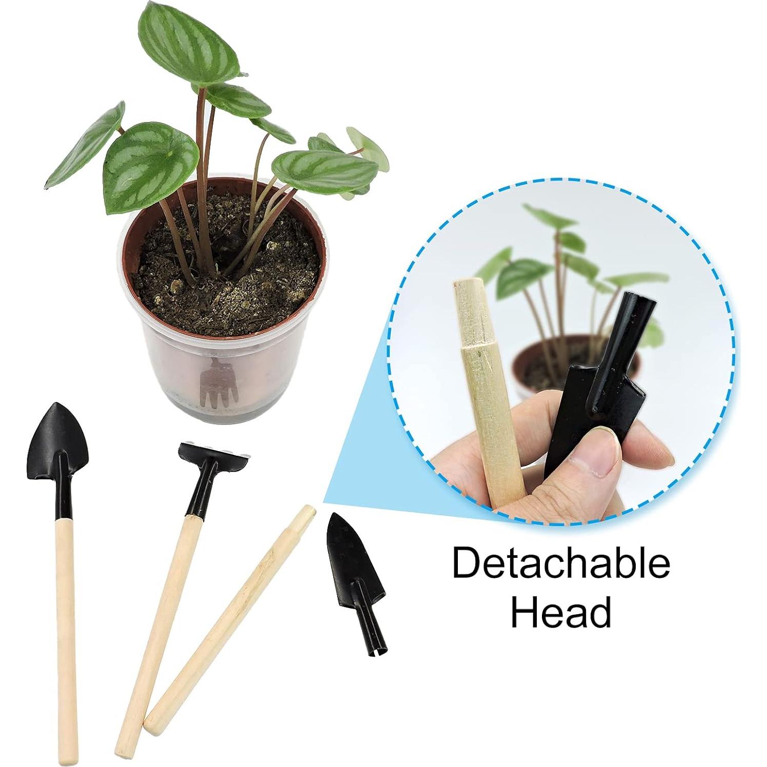 Set de Herramientas de Jardinería Mini Andiker 3 Piezas