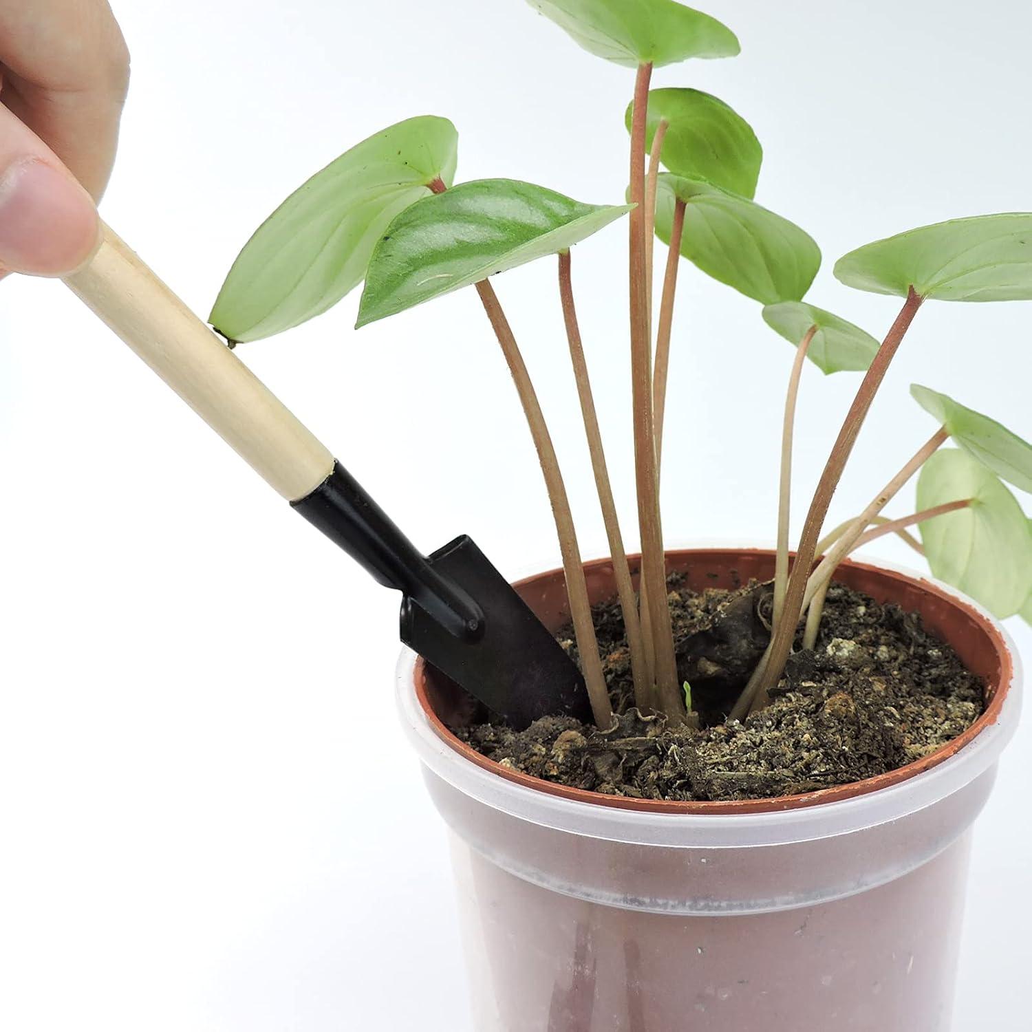 Set de Herramientas de Jardinería Mini Andiker 3 Piezas