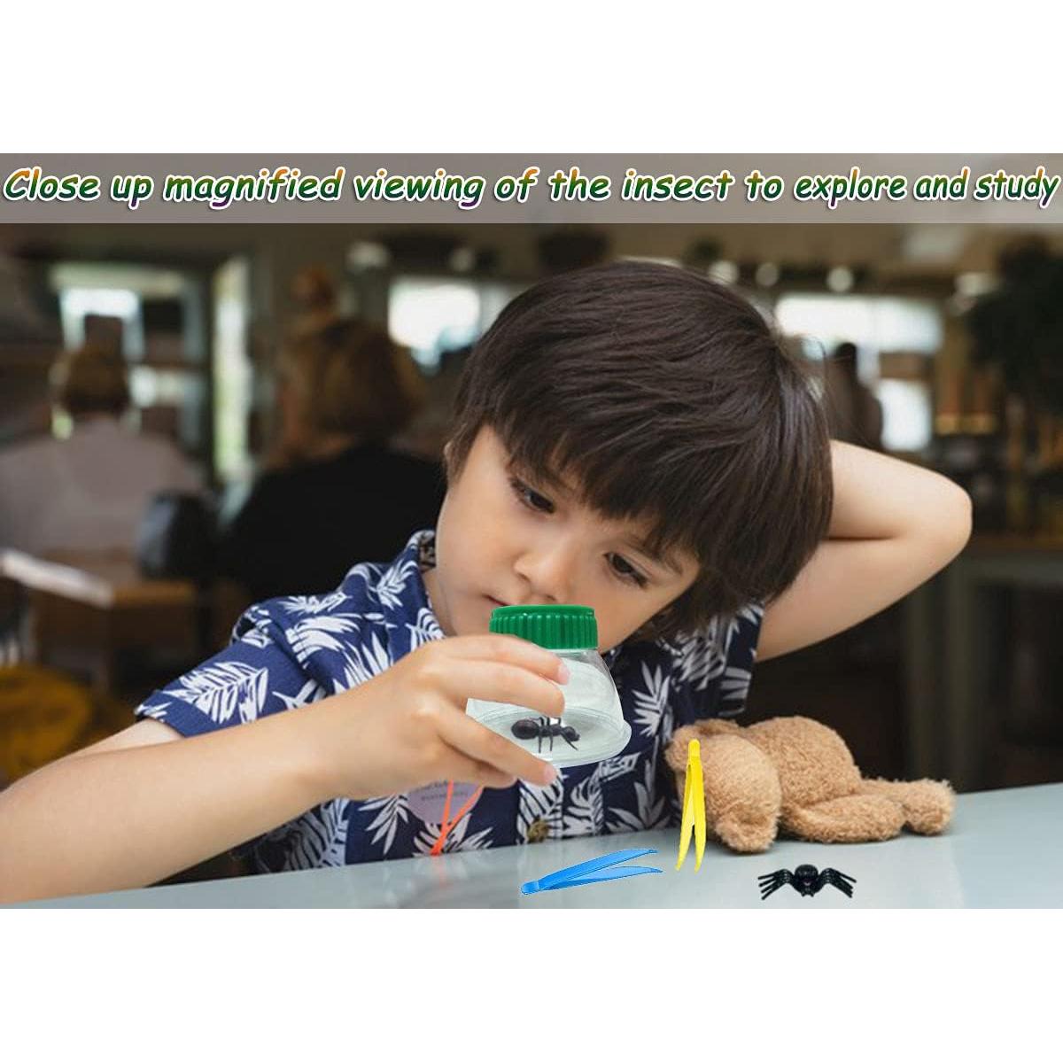 Visor de Insectos RORANIC 5X con Regla y Pinzas - 4 Pack Verde