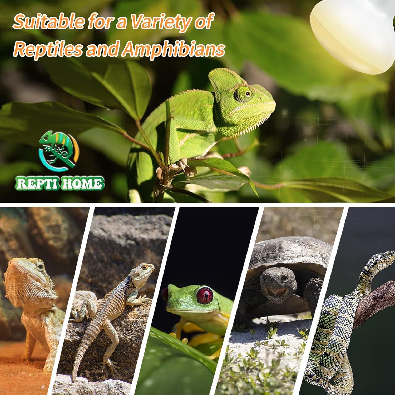 Bombilla de Calor para Reptiles REPTI HOME 50W Paquete de 2
