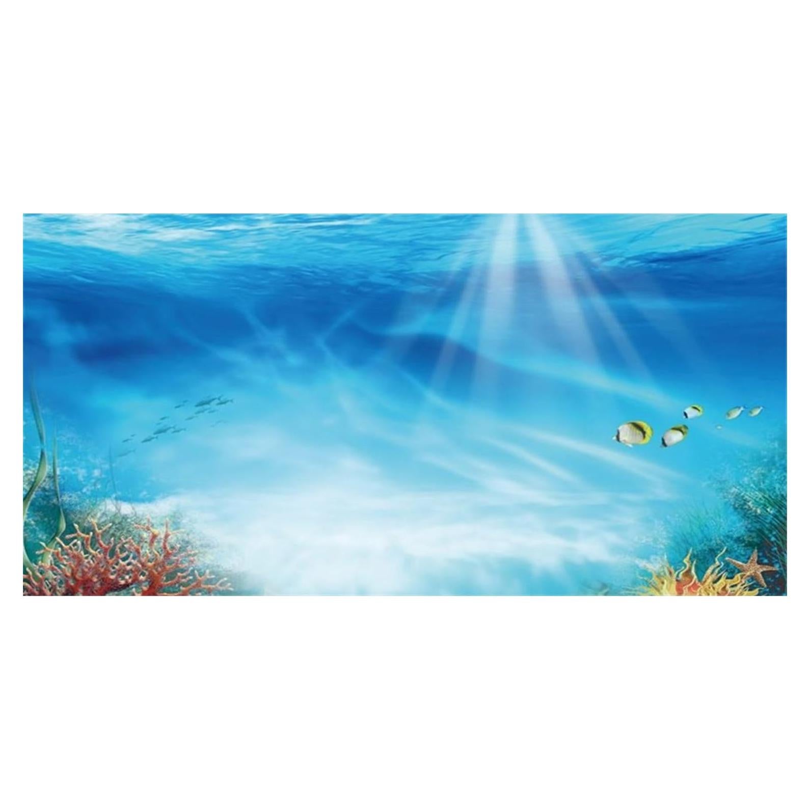Fondo de Acuario Temático AWERT 60x30 cm Coral Peces