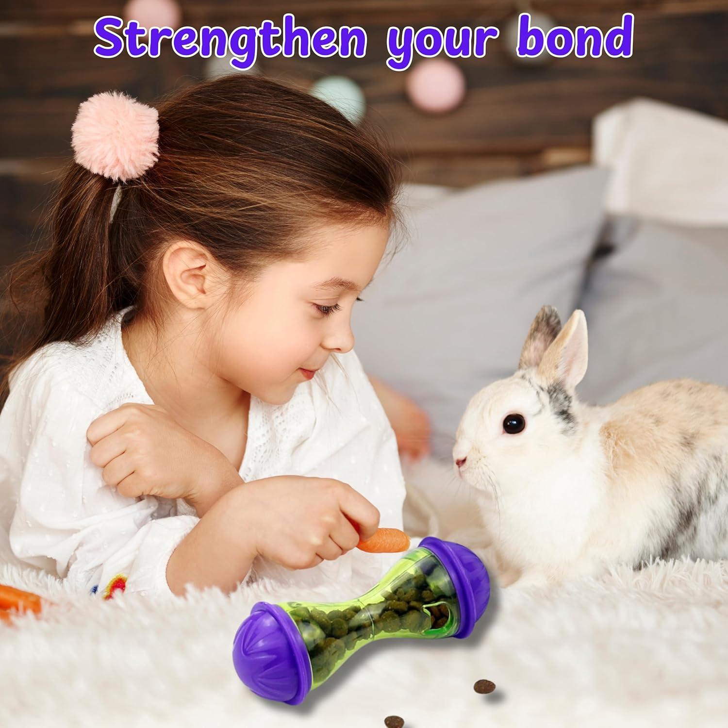 Bola de Tratamiento Interactiva para Hurones Homedy L Hueso