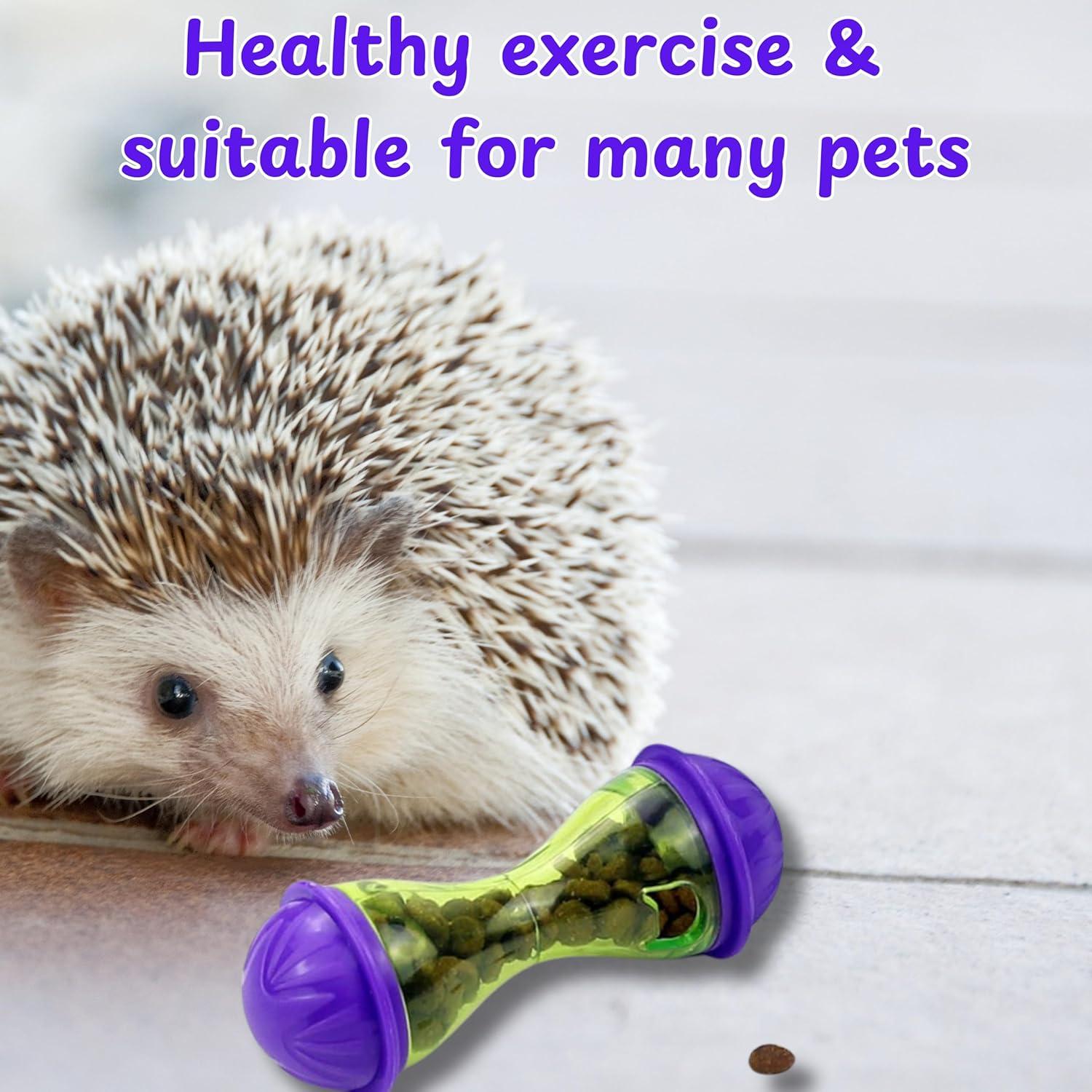 Bola de Tratamiento Interactiva para Hurones Homedy L Hueso