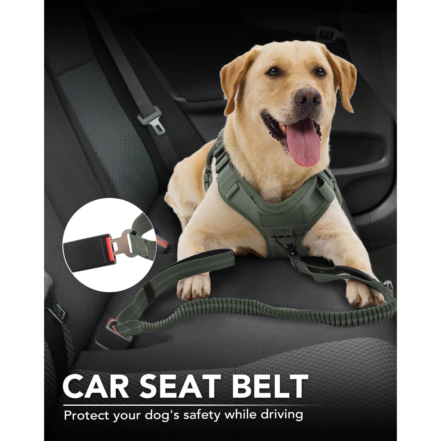 Correa Táctica para Perros Joytale 1.22-1.83m Bungee Verde Militar