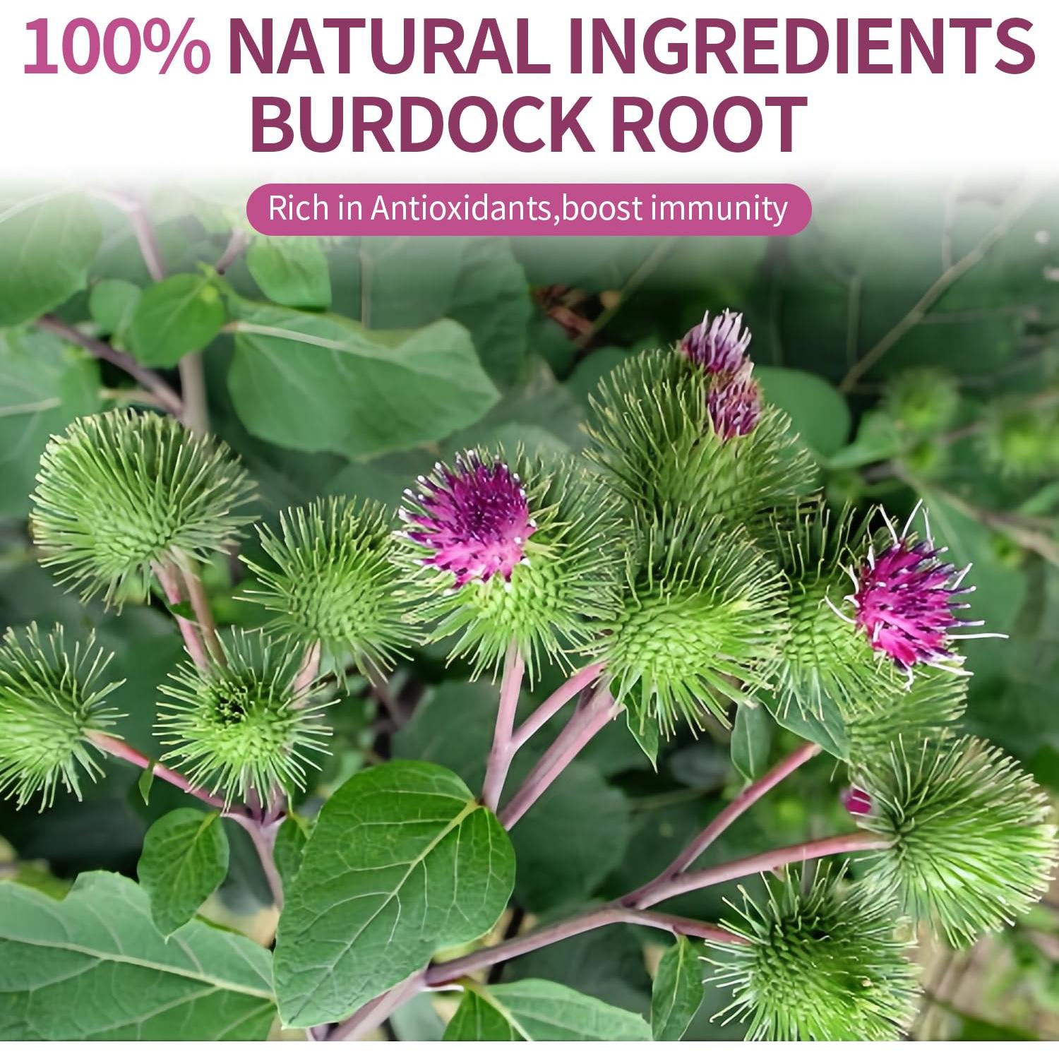 Té Herbal Rilltea Raíz de Bardana 40 Bolsitas Sin Cafeína