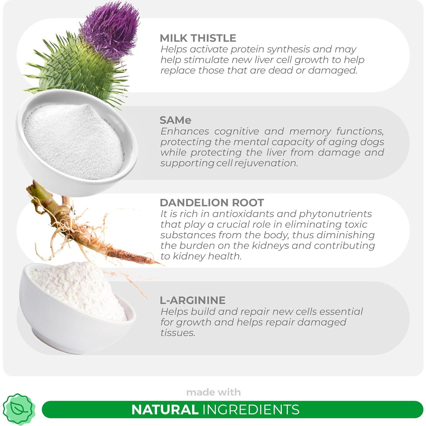 Suplemento Hepático para Gatos VITA PET 113.4g - Cardo Mariano