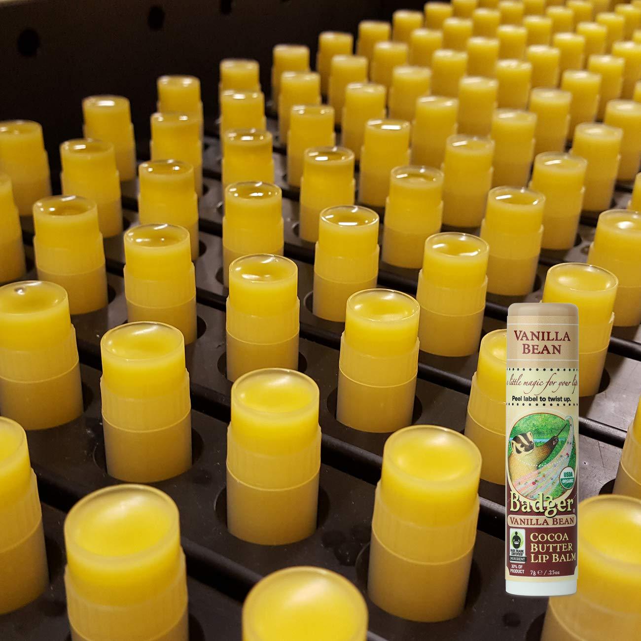 Bálsamo Labial Orgánico Badger Manteca de Cacao 7g