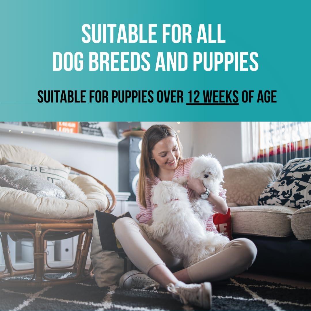 Champú Sin Lagrimas para Cachorros PET CARE 240 ml Piel Sensible