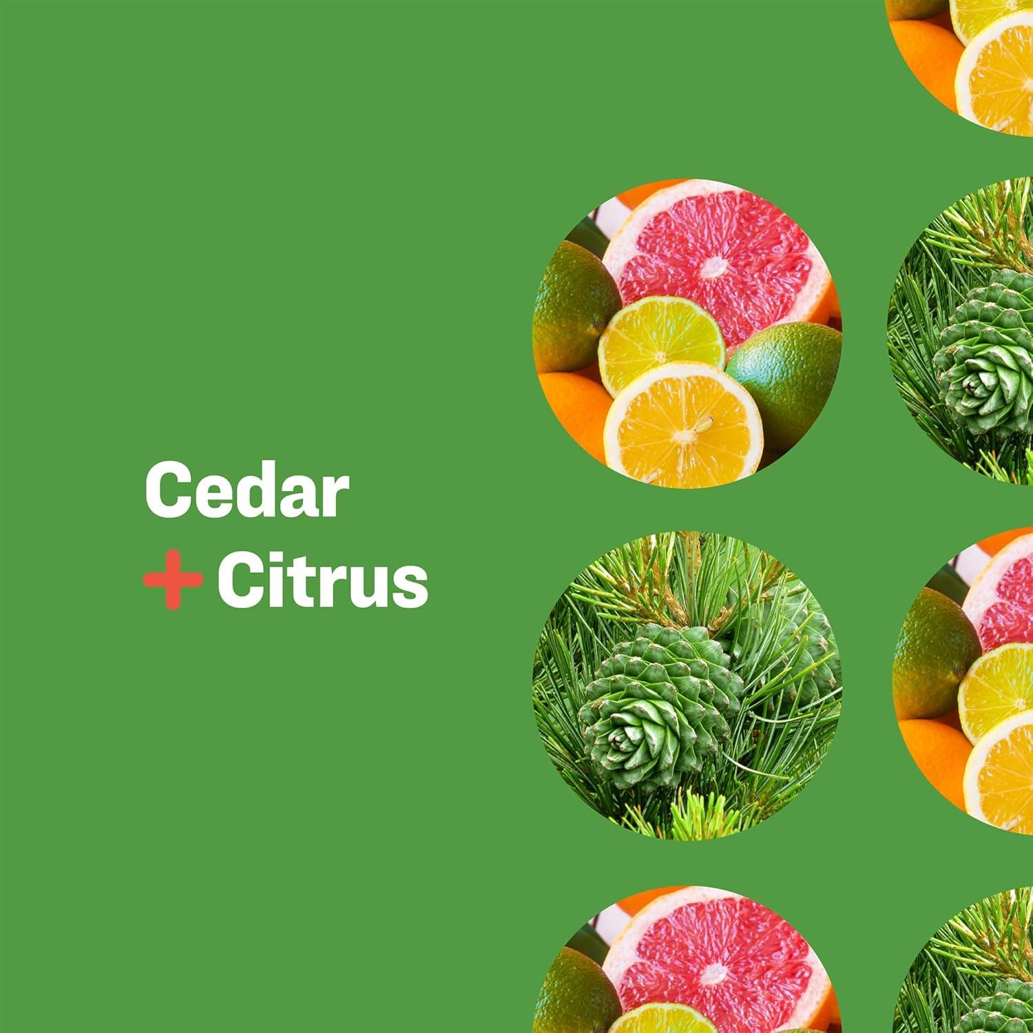 Jabón 3 en 1 Everyone Cedro y Cítricos 2x32 Oz Orgánico