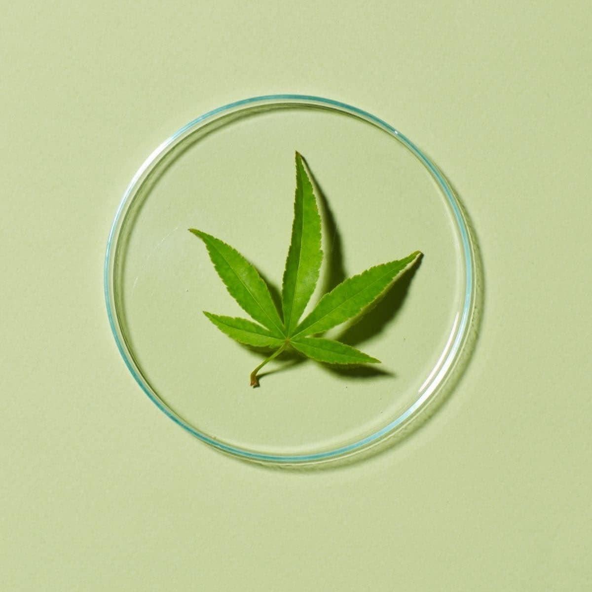 Loción Corporal Andalou Naturals CannaCell Armonía 226.8 g