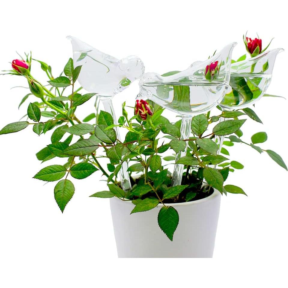 Esferas de Riego Automático de Vidrio Ahhute - Paquete de 2